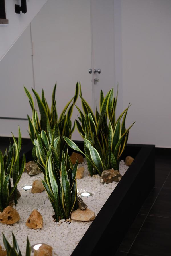 Domea Superior Bed & Breakfast Reggio di Calabria